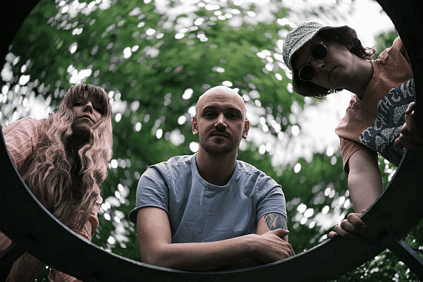 Strumień Świadomości chce zostawić gołębia