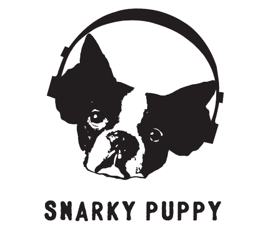Snarky Puppy - Palladium  - Warszawa