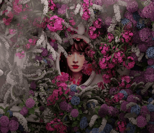 Marie ułożyła "Kociego Tarota"