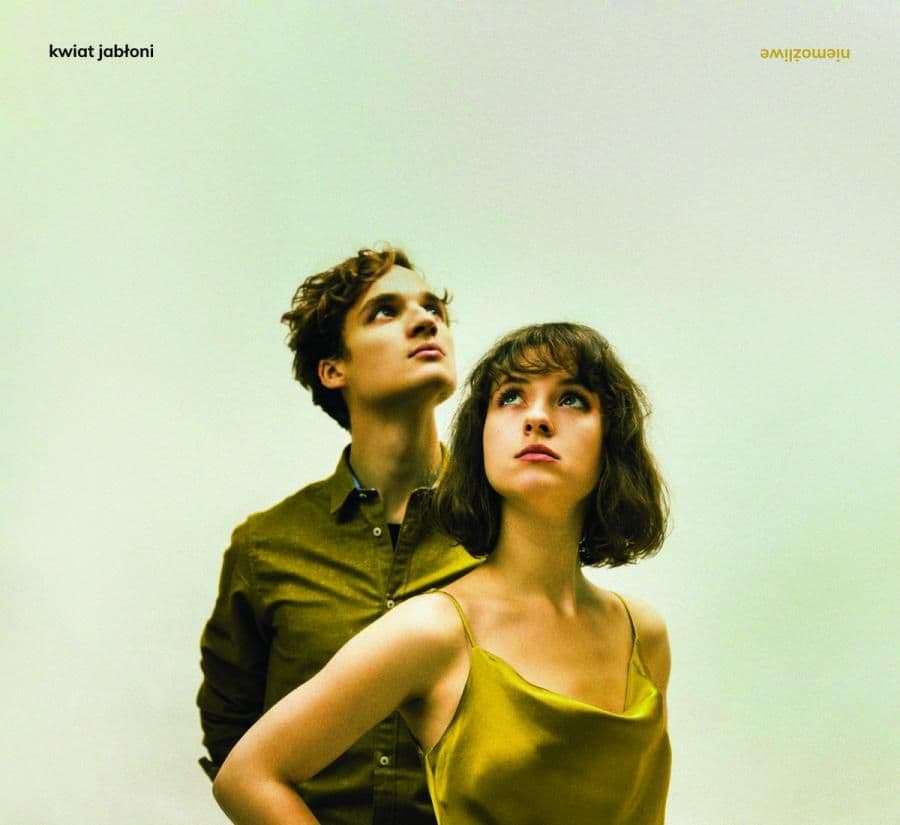 Kwiat Jabłoni - Niemożliwe