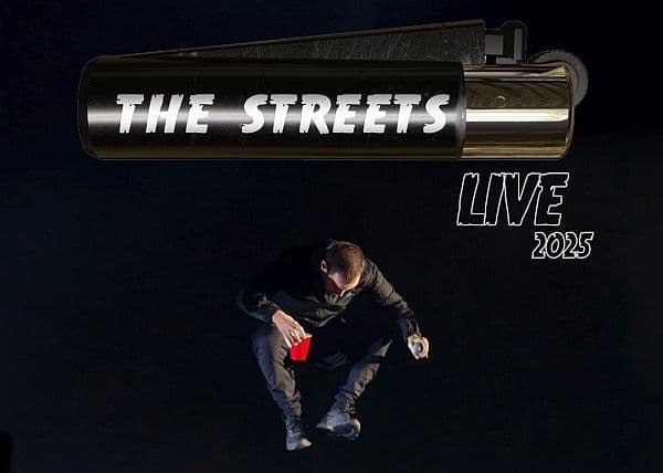 The Streets na jedynym koncercie w Polsce
