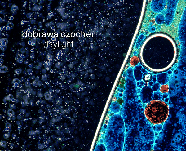 Dobrawa Czocher zapowiada premierę "Biodiversity"