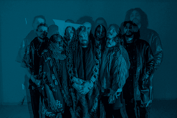 Cykada przejdzie metamorfozę