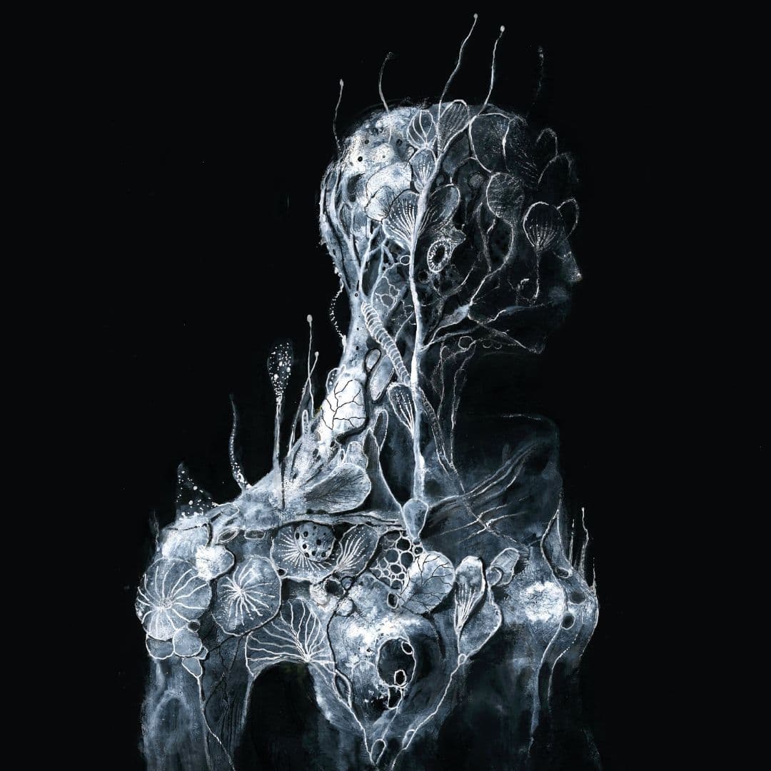 Soen zapowiedział nowy album