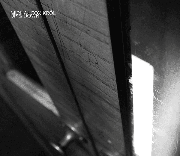 Michał FOX Król zapowiada autorski album