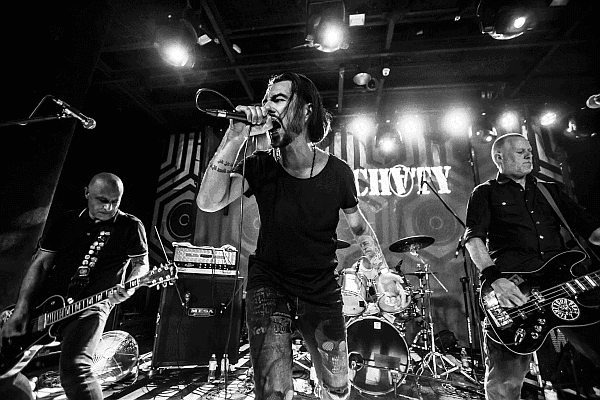 Włochaty śpiewa o wolności