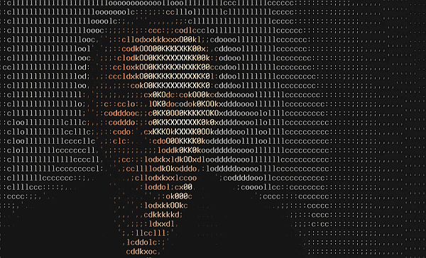 Makaruk zaprezentował "Hacker's Dub"