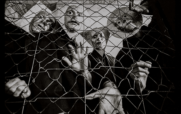 Nene Heroine zaprasza do "Tokyo"