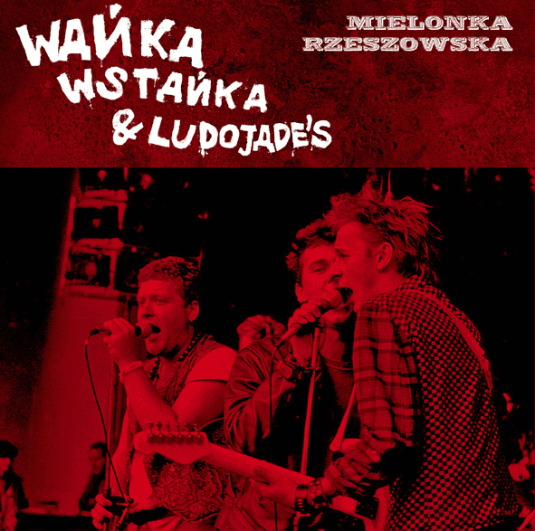 Archiwalna koncertówka Wańki Wstańki