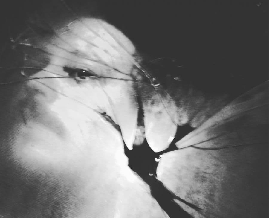 Ander wyda "...Potrwa Wiecznie"