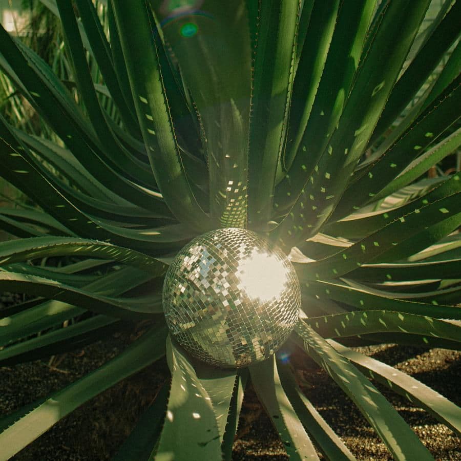 Beata Kozidrak w duecie z Kamilem Bednarkiem