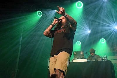 Bracia Figo Fagot kochają Karolinę