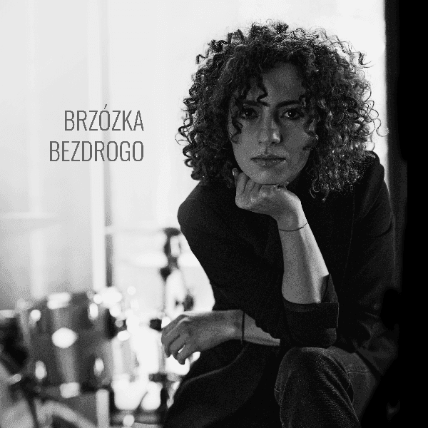 Brzózka z nowym singlem zapowiada nowy album