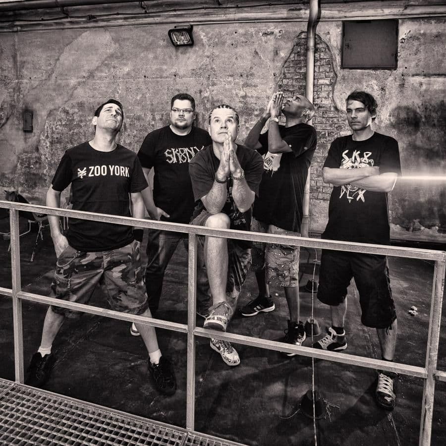 Dog Eat Dog na dwóch koncertach w Polsce