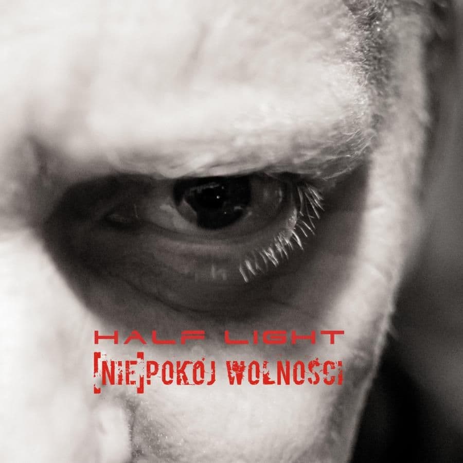 Half Light prezentuje nową płytę