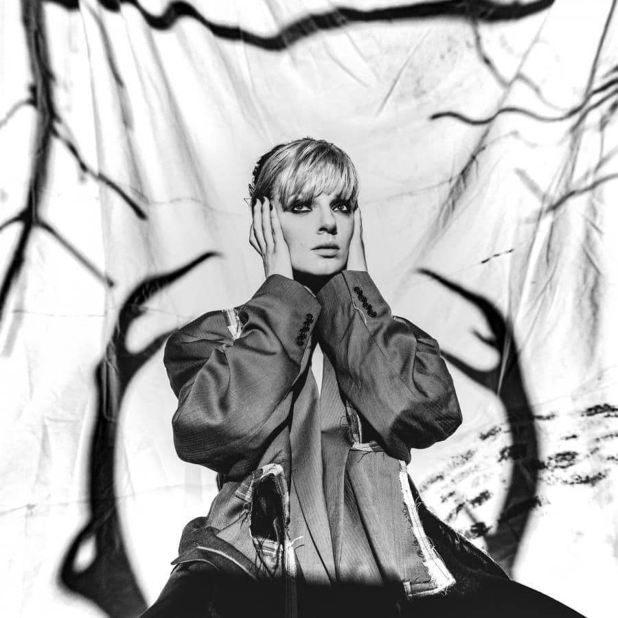 Kolejna leśna opowieść Sarsy