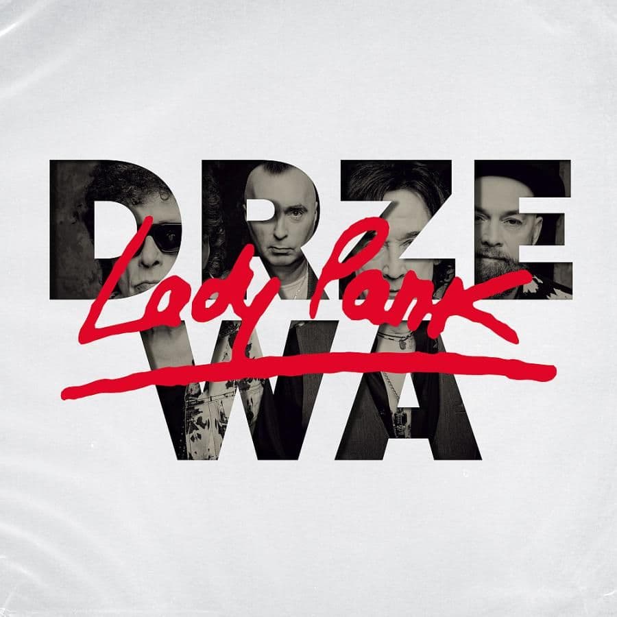 Lady Pank w 'Drzewach'