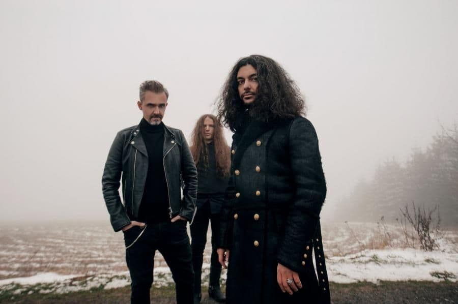 Lion Shepherd bez Macieja Gołyźniaka