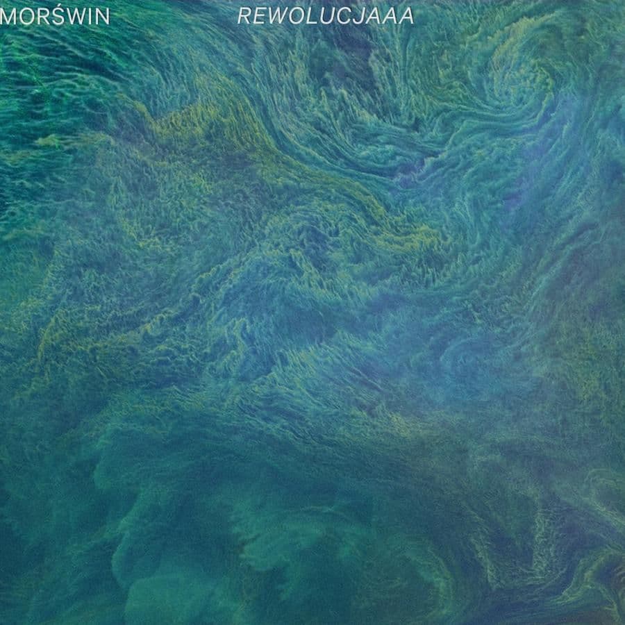 Morświn zrobił 'Rewolucjęęę'