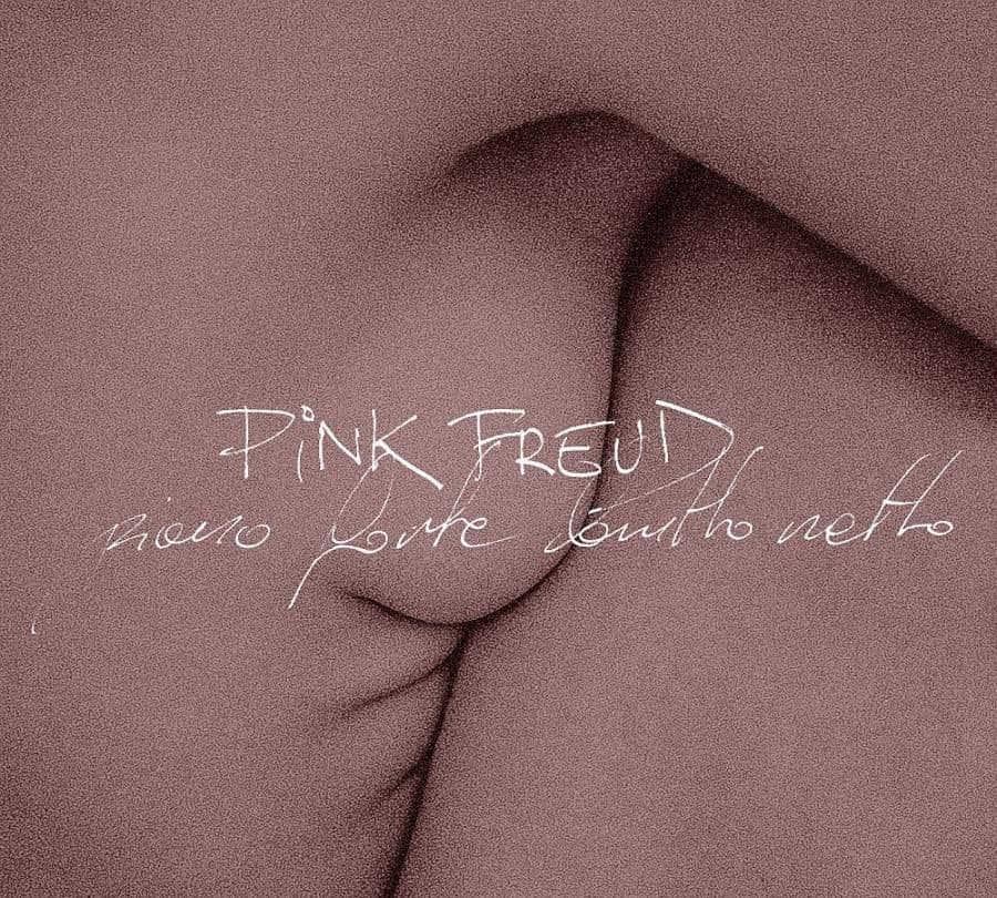 Pink Freud zapowiada nowy album