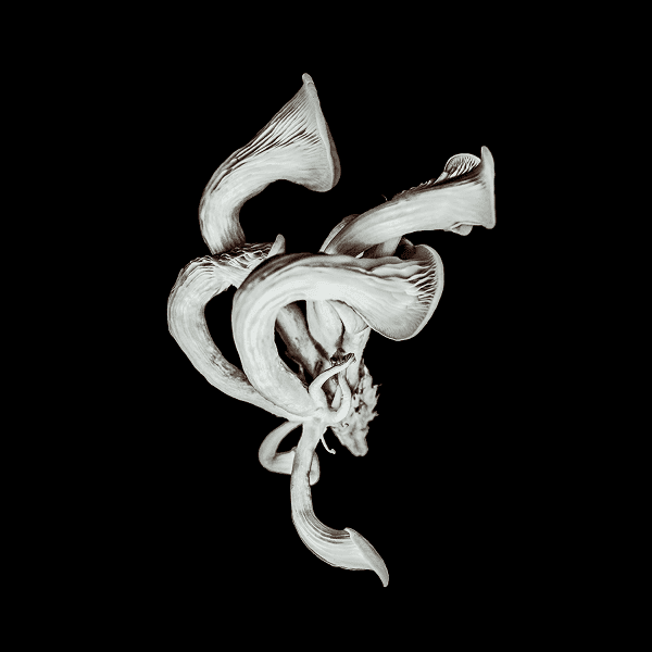 Pixies ze specjalnym wydaniem ostatniego albumu