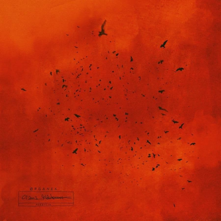 ØRGANEK prezentuje nową piosenkę