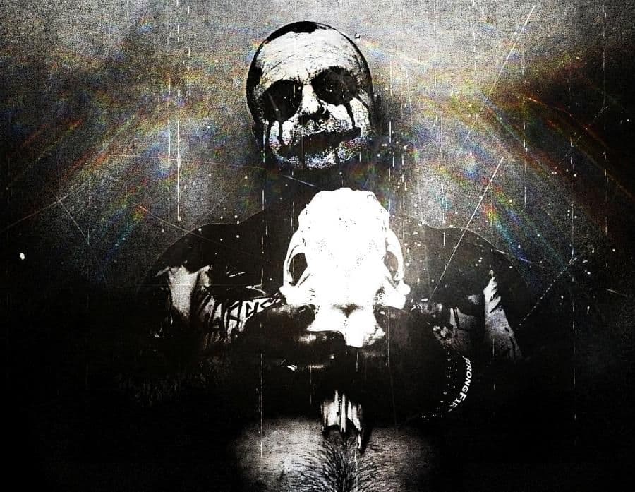 The BWPP z nowym teledyskiem