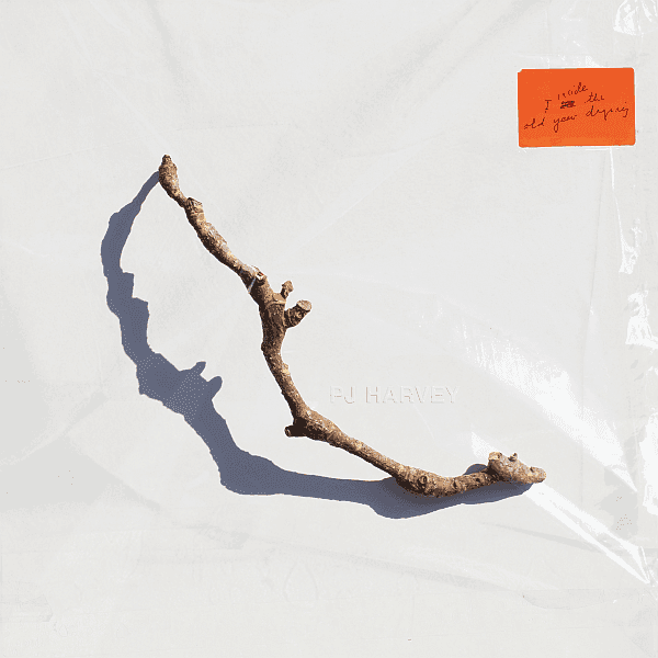 PJ Harvey - I Inside The Old Year Dying