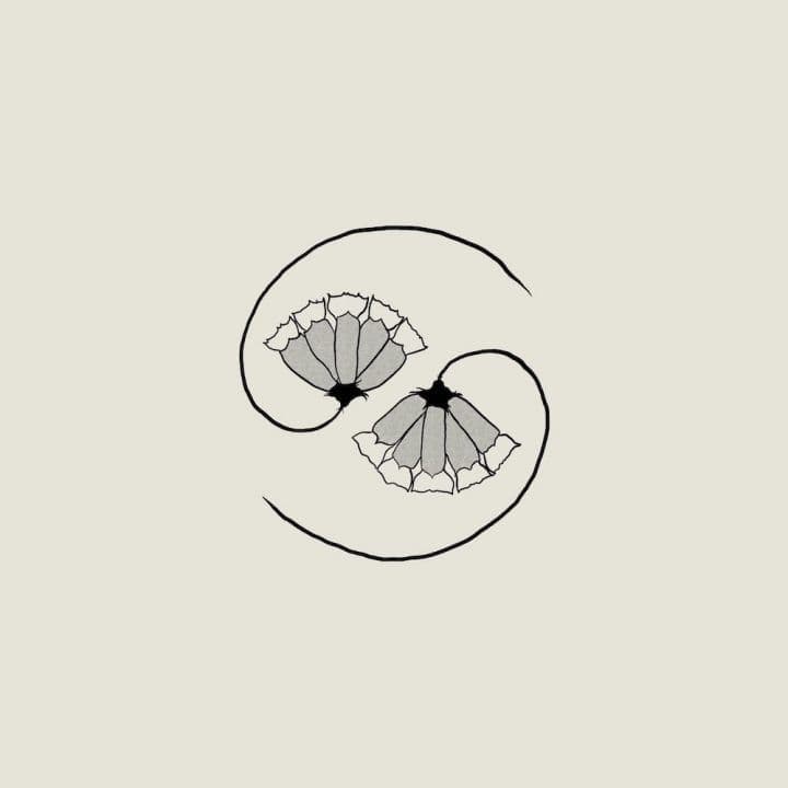 Godspeed You! Black Emperor - G_d’s Pee AT STATE'S END!