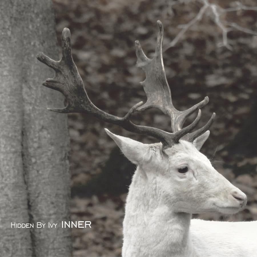 Hidden By Ivy - Inner