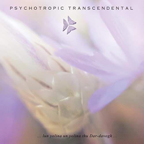 Psychotropic Transcendental - ...lun yolina un yolina thu Dar-davogh...