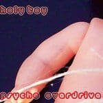 Holy Toy - Psycho Overdrive