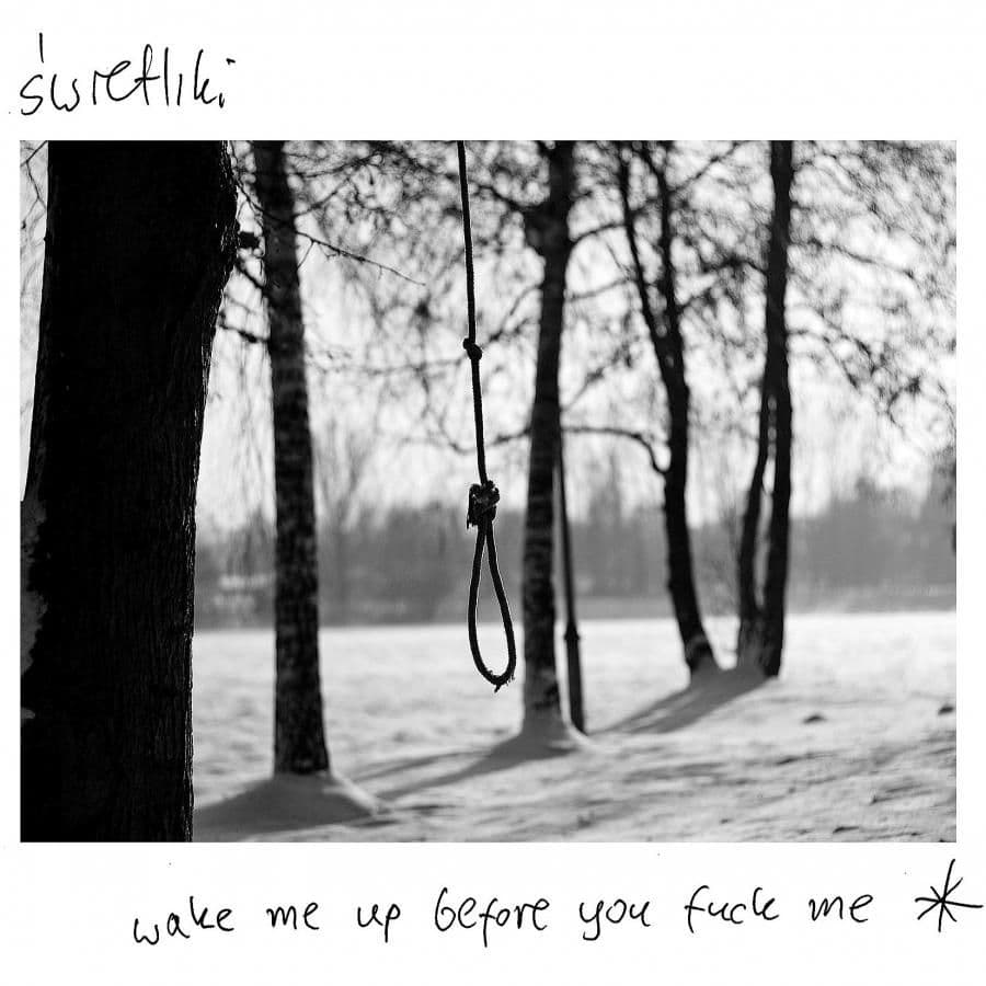 Świetliki - Wake Me Up Before You Fuck Me